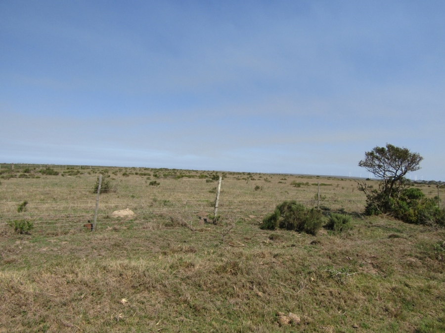 Commercial Property for Sale in Humansdorp Rural Eastern Cape